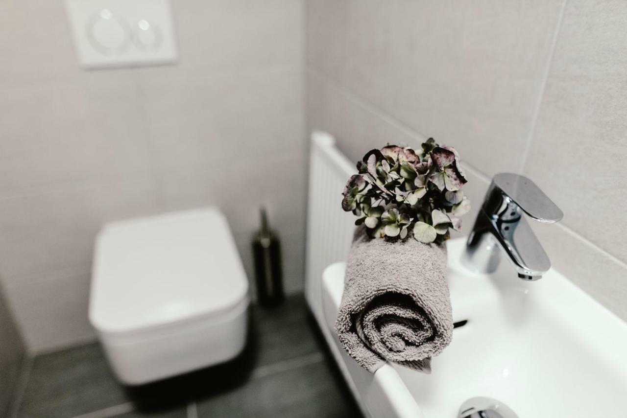 Luxury Apartments Zelny Trh Brno Buitenkant foto