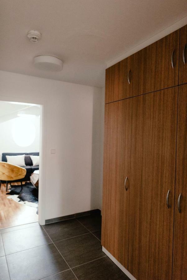 Luxury Apartments Zelny Trh Brno Buitenkant foto