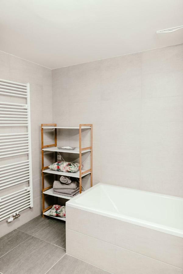 Luxury Apartments Zelny Trh Brno Buitenkant foto